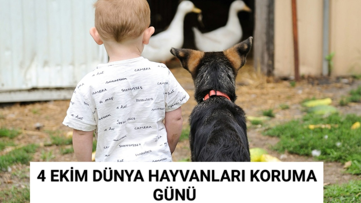 4 EKİM DÜNYA HAYVANLARI KORUMA GÜNÜ